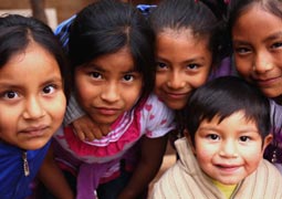 自动攻击网站工具下载